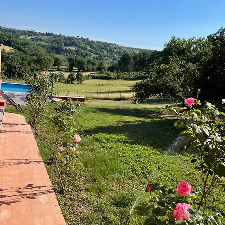 Luxury Arianna Tarano