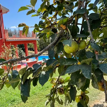 Luxury Arianna Villa Tarano